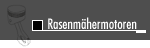 Rasenmähermotoren