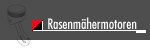 Rasenmähermotoren